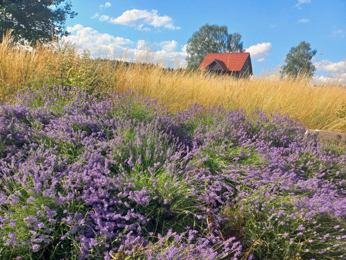 Dom Malarki Villa Miroslawiec Bagian luar foto