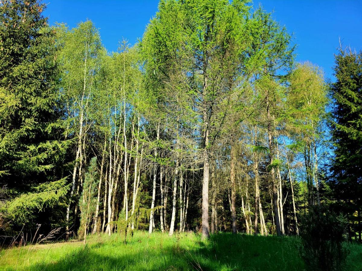 Dom Malarki Villa Miroslawiec Bagian luar foto