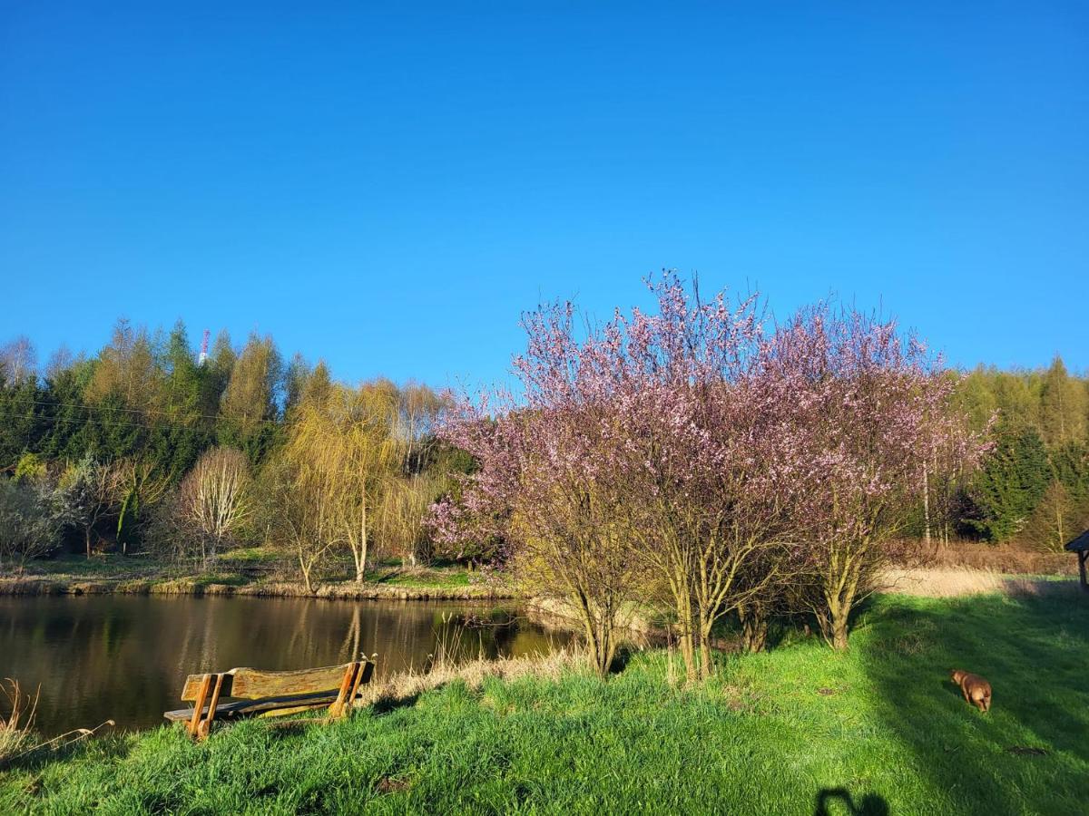 Dom Malarki Villa Miroslawiec Bagian luar foto