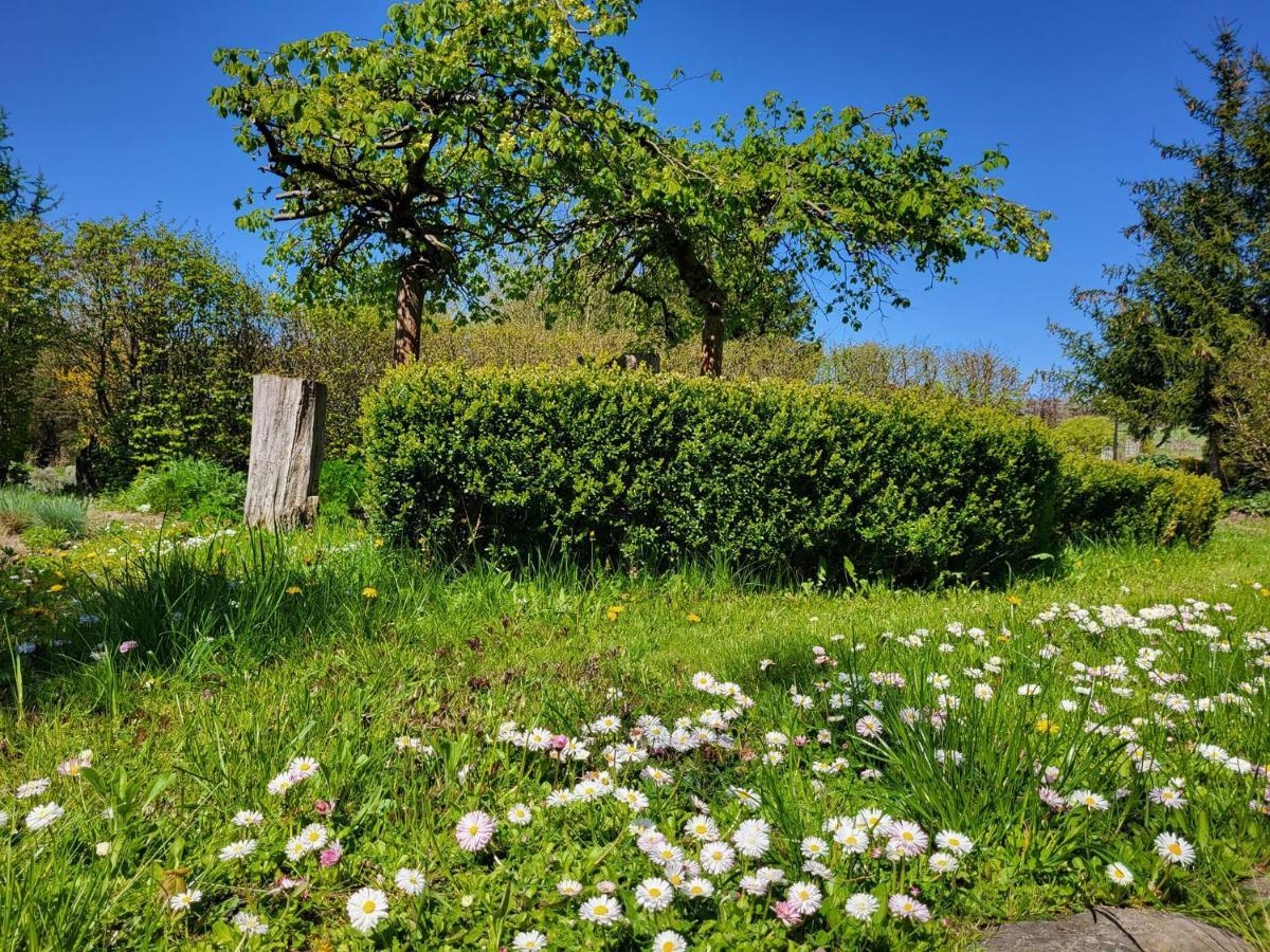 Dom Malarki Villa Miroslawiec Bagian luar foto