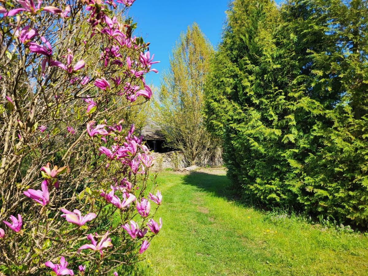 Dom Malarki Villa Miroslawiec Bagian luar foto
