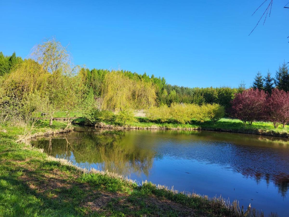 Dom Malarki Villa Miroslawiec Bagian luar foto