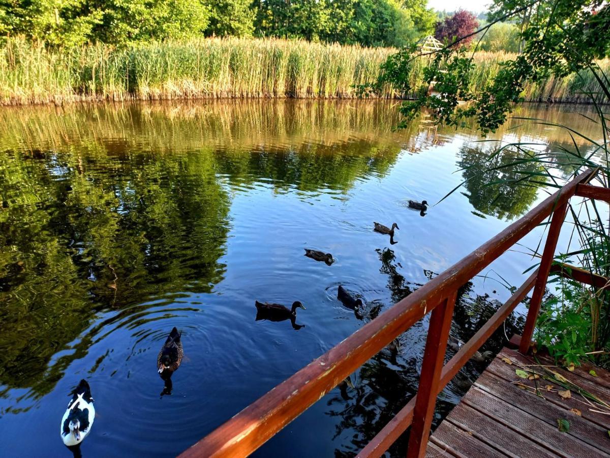 Dom Malarki Villa Miroslawiec Bagian luar foto